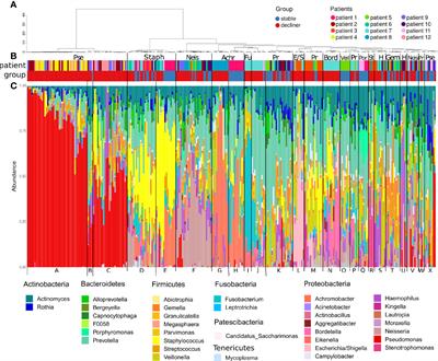 A Volatile and Dynamic Longitudinal Microbiome Is Associated With Less Reduction in Lung Function in Adolescents With Cystic Fibrosis